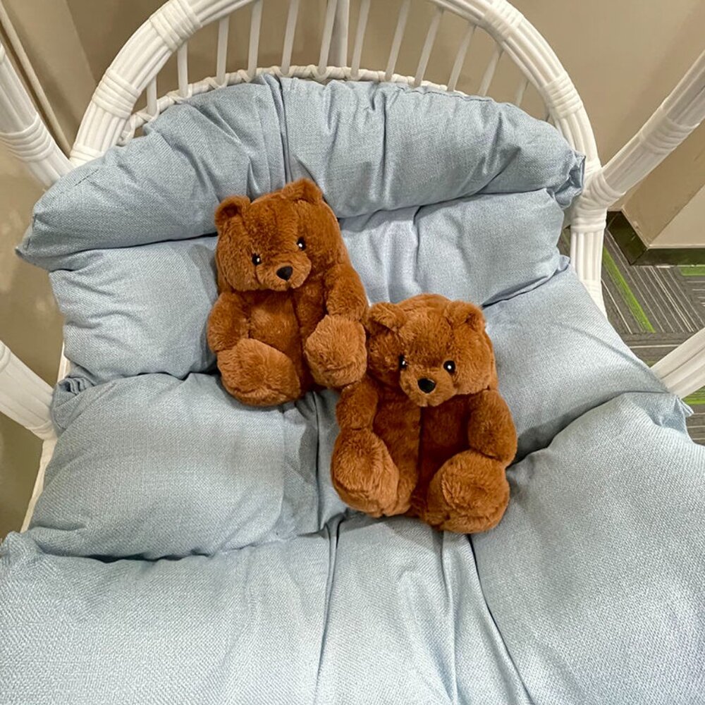 Teddy Bear Slippers